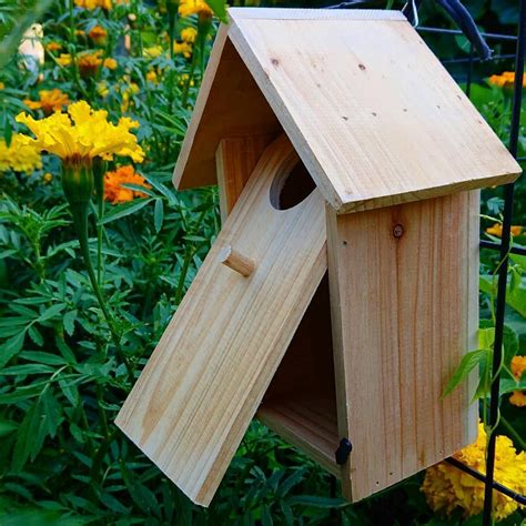 nest boxes for small birds